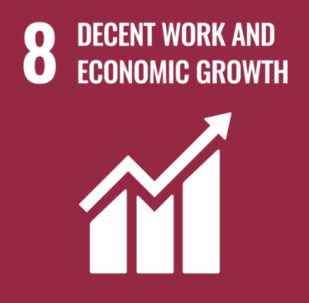 SDG 8